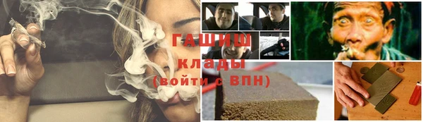 стаф Алексин
