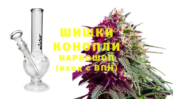 PSILOCYBIN Алзамай