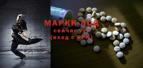 PSILOCYBIN Алзамай