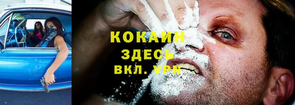 PSILOCYBIN Алзамай