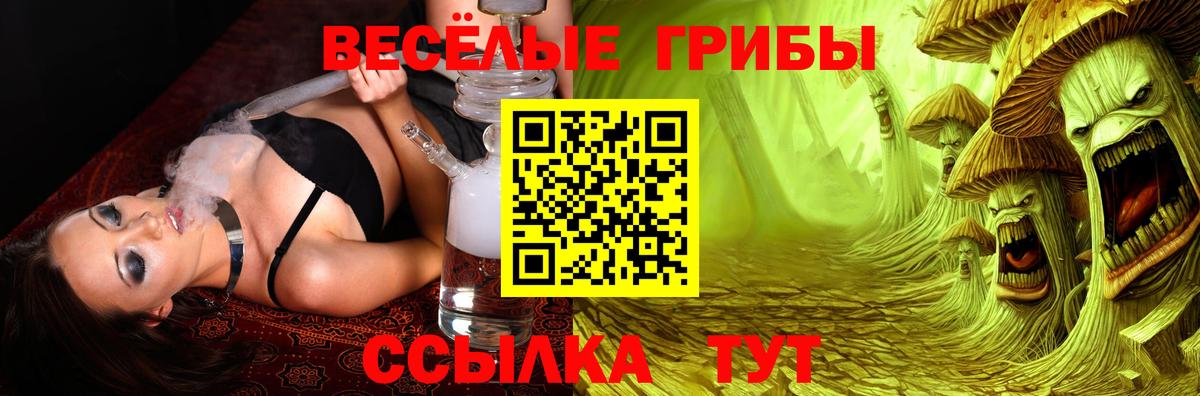 Крымск  Галлюциногенные грибы ЛСД  Вход с VPN  Галлюциногенные грибы Cubensis 