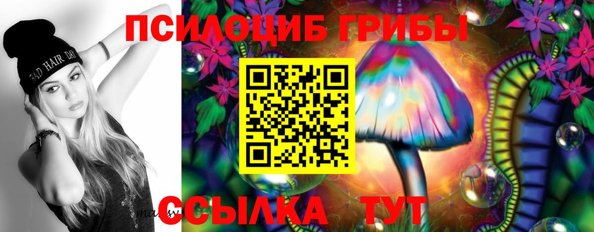 Галлюциногенные грибы прущие грибы Крымск