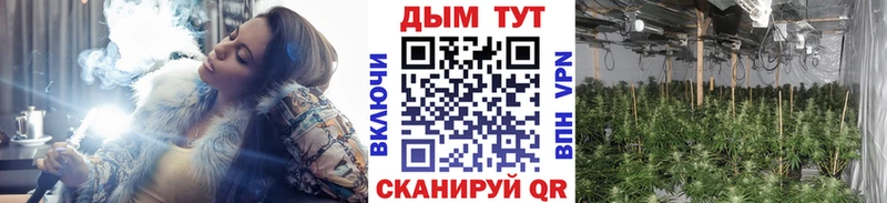 Каннабис сатива  Крымск 